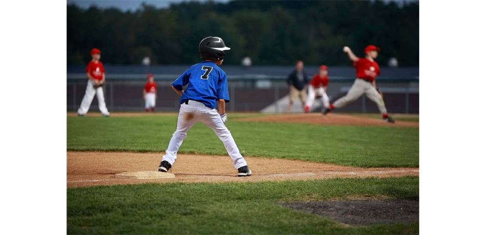 Why Play Baseball?